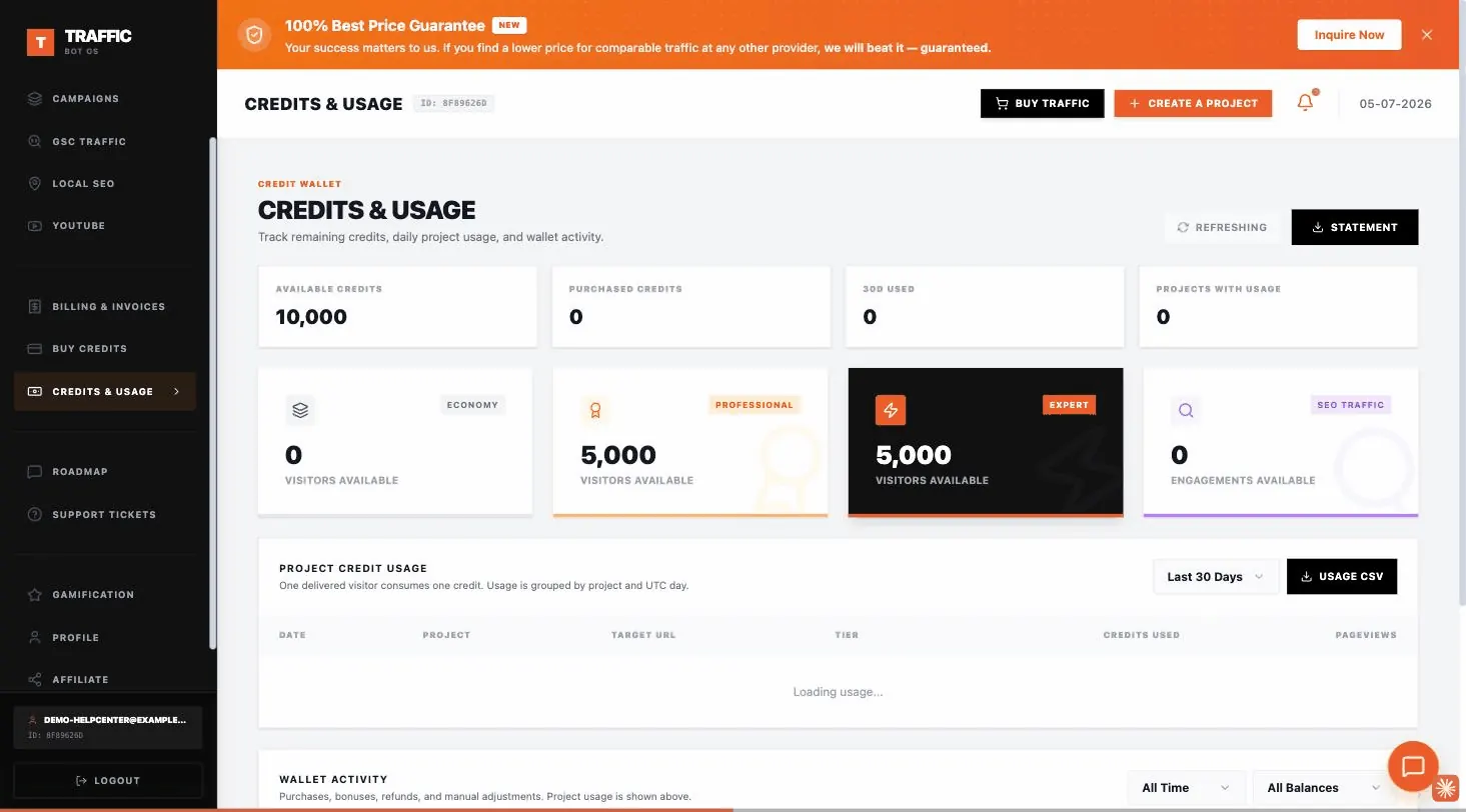 Real Traffic Creator Credits and Usage dashboard recorded in a demo workspace